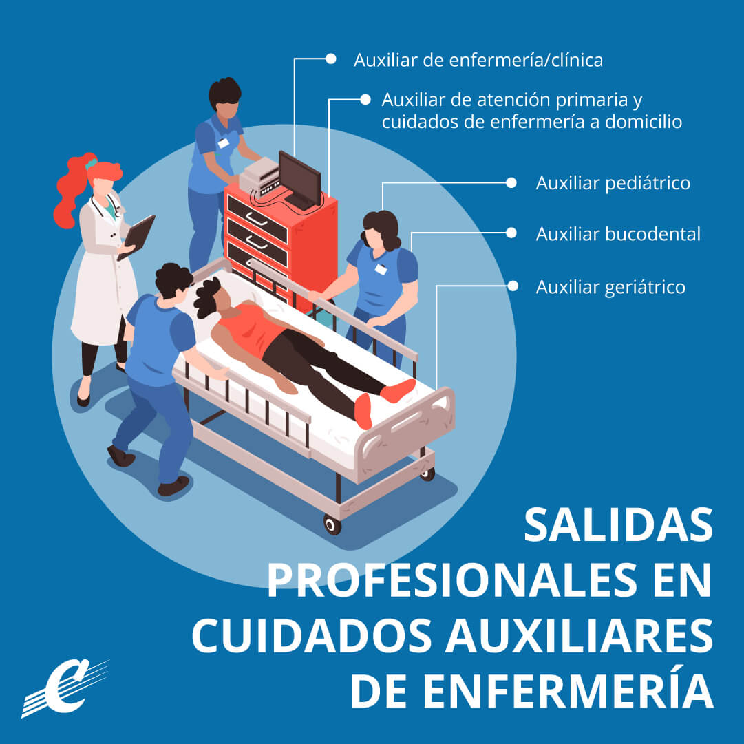cae-salidas-profesionales-ig