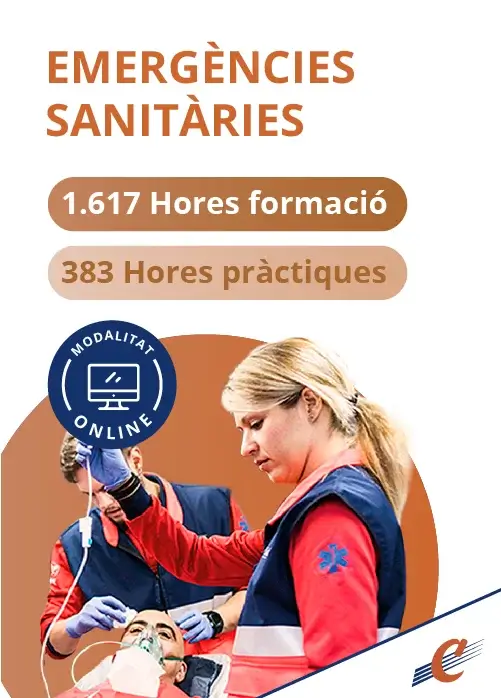 ciclos-movil_tes-online-ca