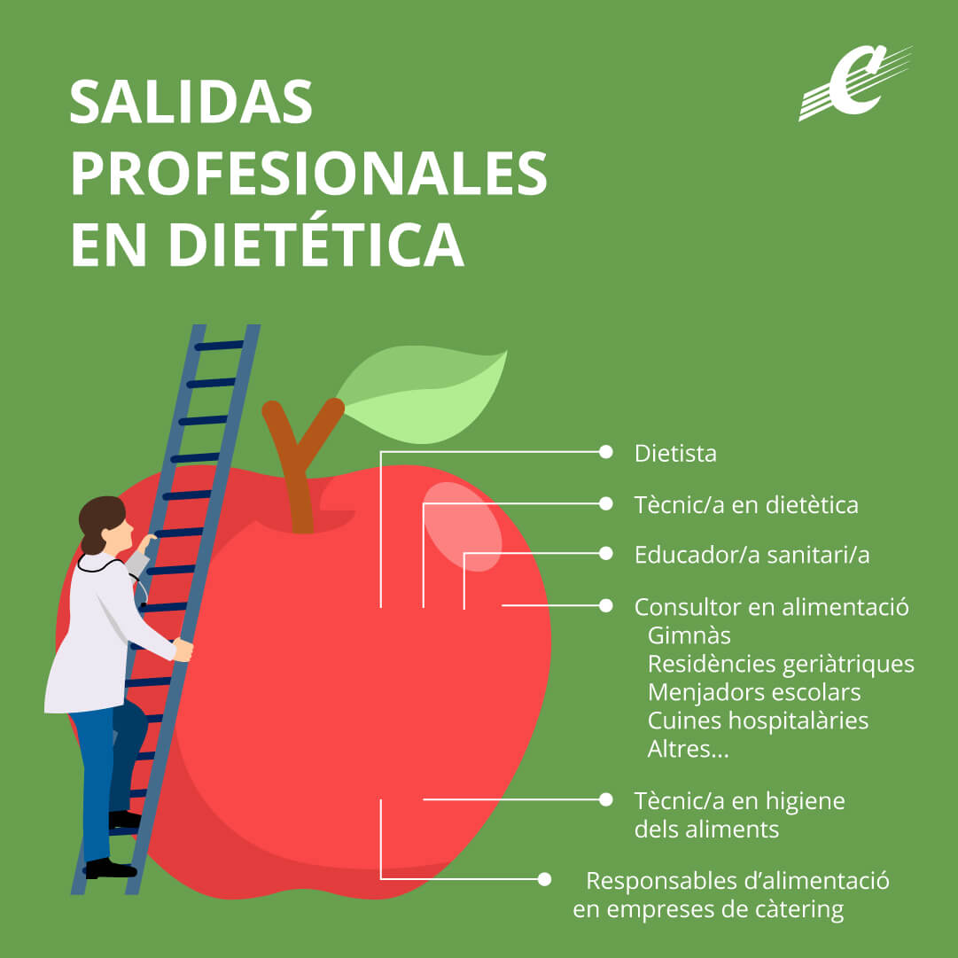diet-sortides-professionals-ig-ca